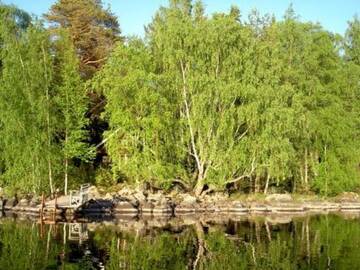 Фото номера Дом для отпуска Дома для отпуска Holiday Home Kärkimökki г. Hauho 6