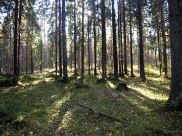 Фото номера Дом для отпуска Дома для отпуска Holiday Home Oravanpesä г. Hauho 34